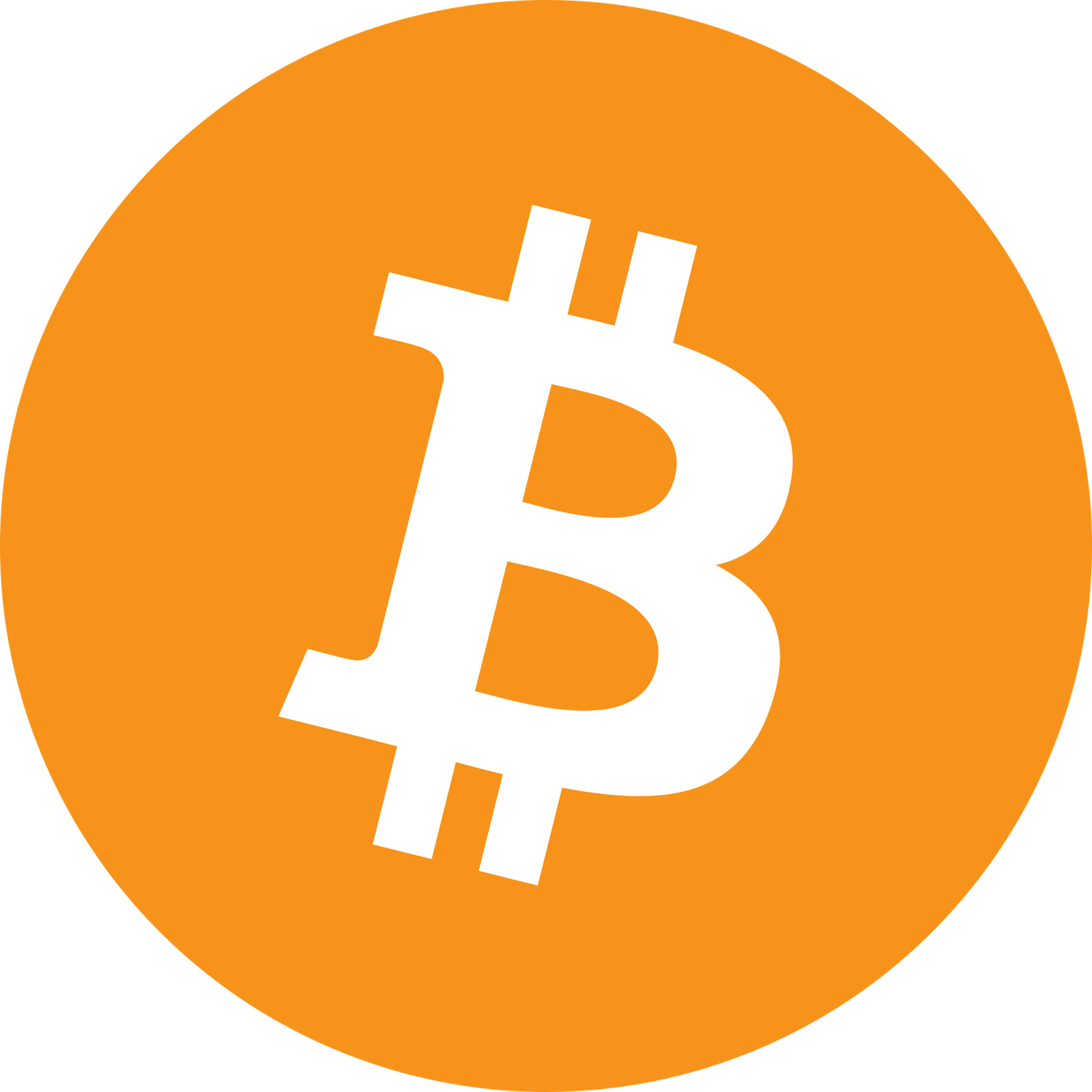 Logo crypto